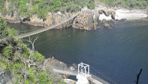 Knysna Hängebrücke