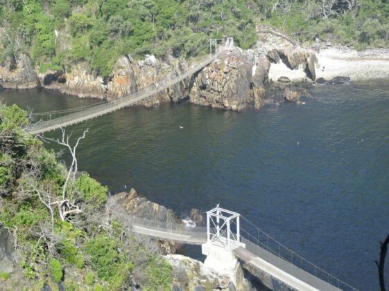 Knysna Hängebrücke Knysna Hängebrücke