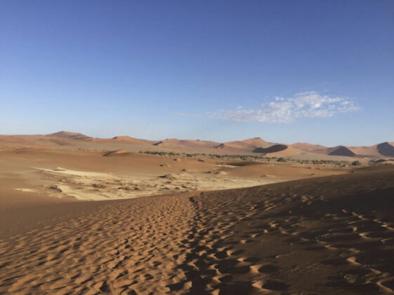 Sossusvlei Sossussvlei Dünenlandschaft