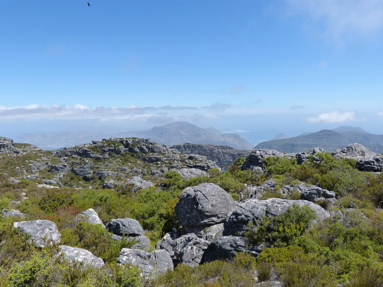 TableMountain