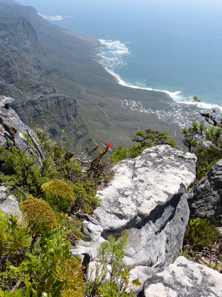 TableMountain