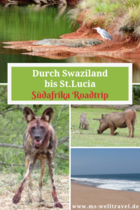 Bericht über Swaziland und St.Lucia