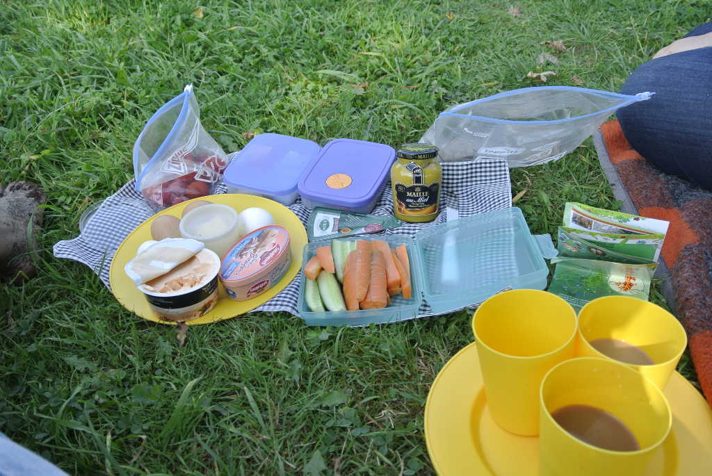 Picknick auf der Wiese