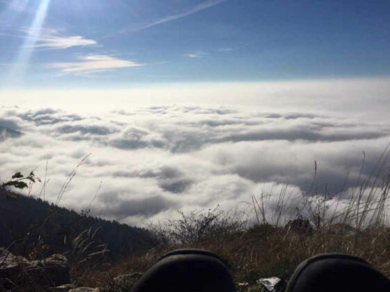 Präventionsreisen Präventionsreisen