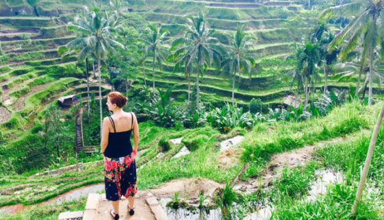 Bali Indonesien Reisterrassen