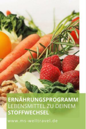 Ernährungsprogramm Gemüse