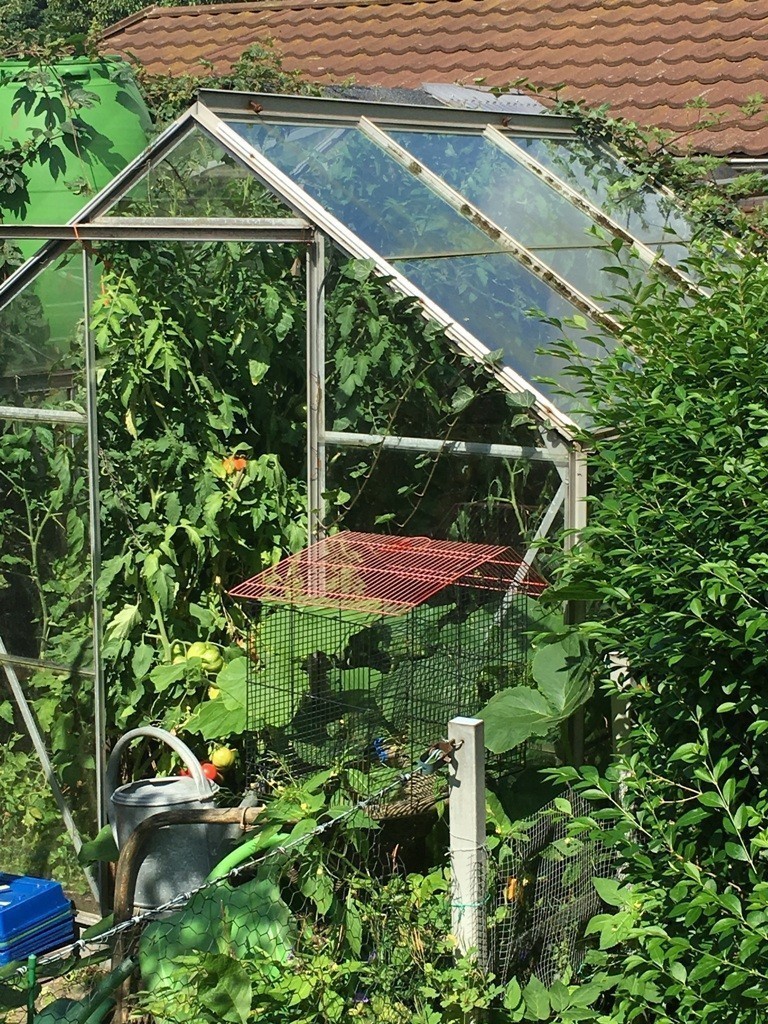 Urlaub im Garten Gewächshaus