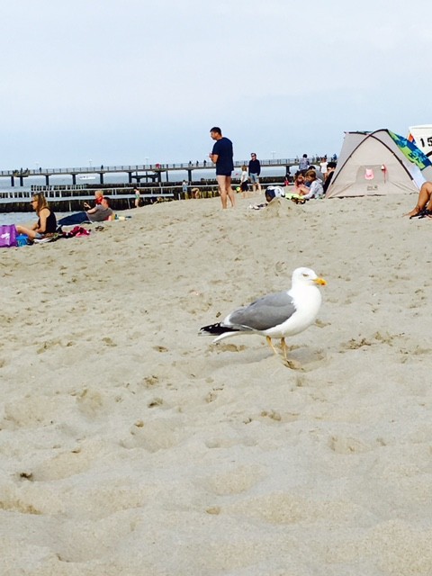 Kühlungsborn Strand