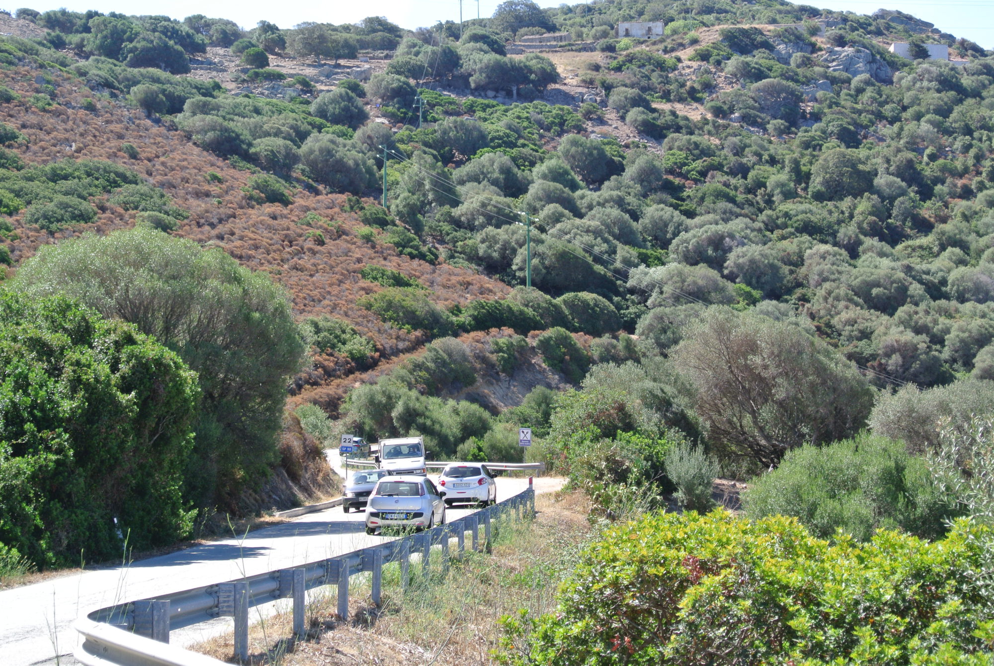 Wunderschöne Landstraße (127/133) von Alghero zurück nach Palau