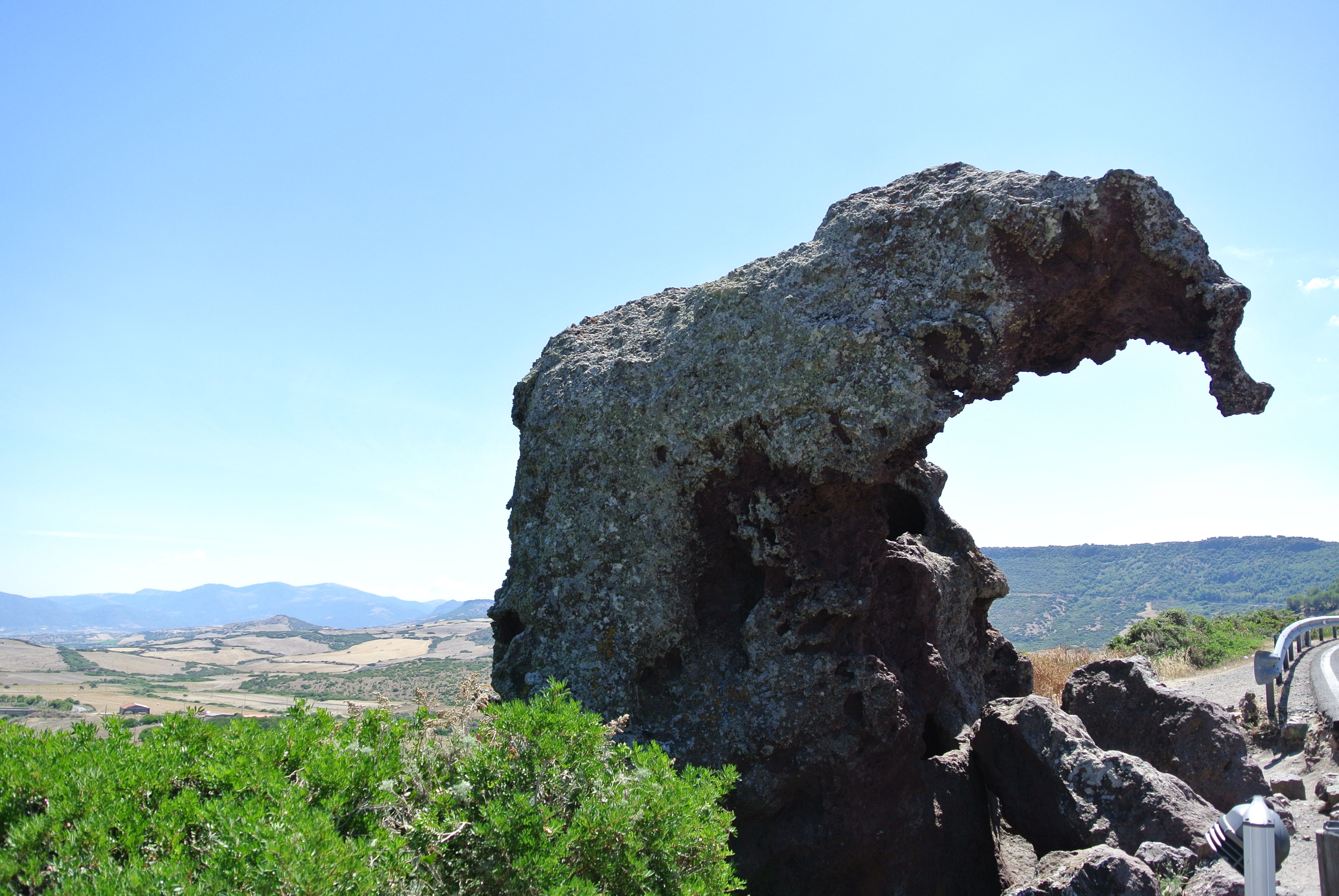 Auf den Weg nach Castelsardo - Elefant