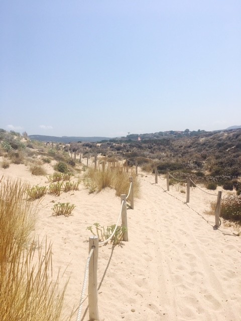 Strand auf Isola dei Gabbiani