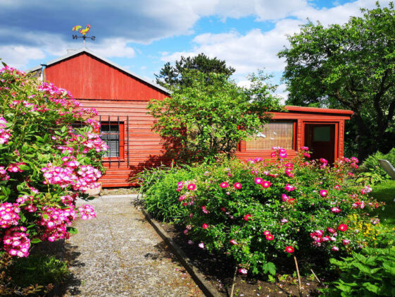 Schrebergarten oder Mietbeet Urlaub im eigenen Garten