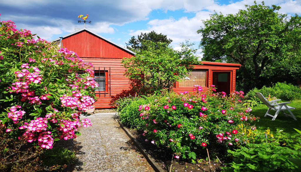 Schrebergarten oder Mietbeet Urlaub im eigenen Garten