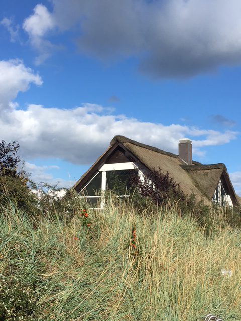 Blick auf den Außenbereich der Ostsee-Therme