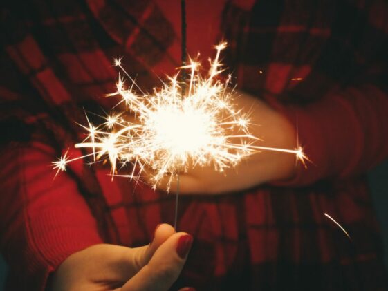 Header-Bild von Pexels Header-Bild von Pexels