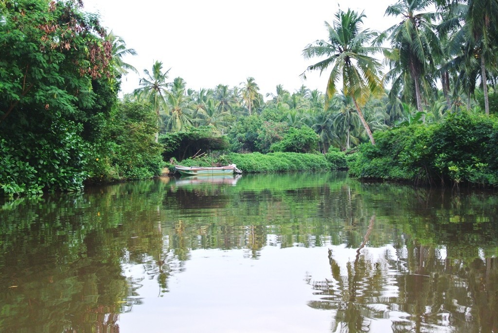 Headerbild SriLanka SriLanka5