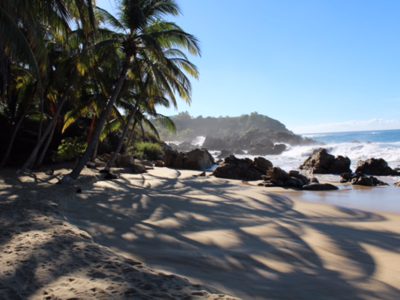 MSWellTravel_Mexico_PuertoEscondido