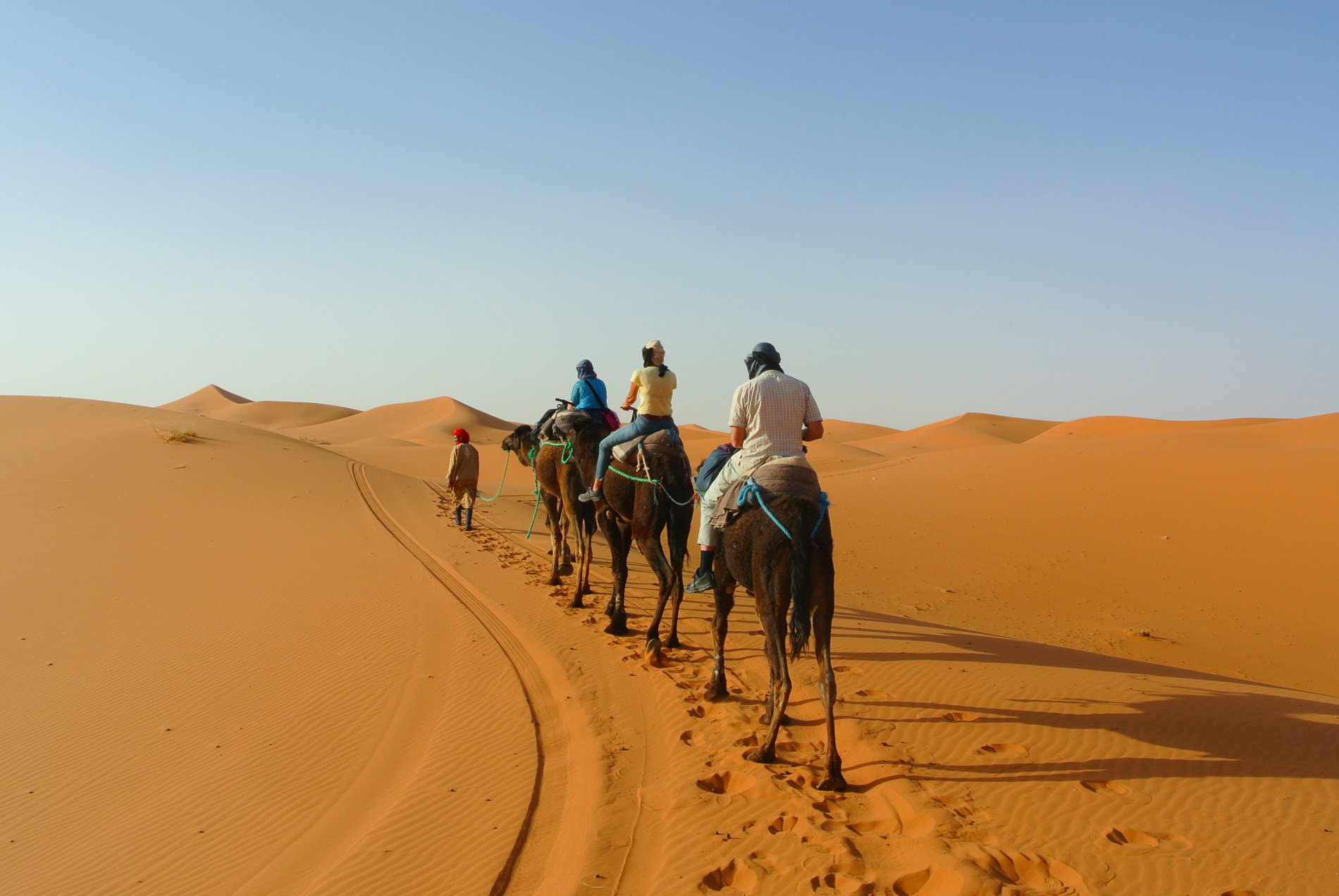 Wüstentour in der Sahara