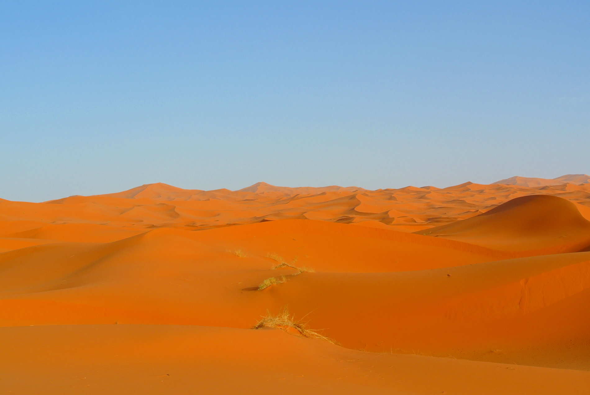 Wüstentour in der Sahara