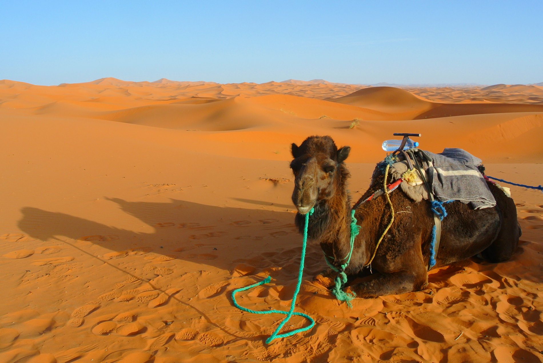 Wüstentour in der Sahara