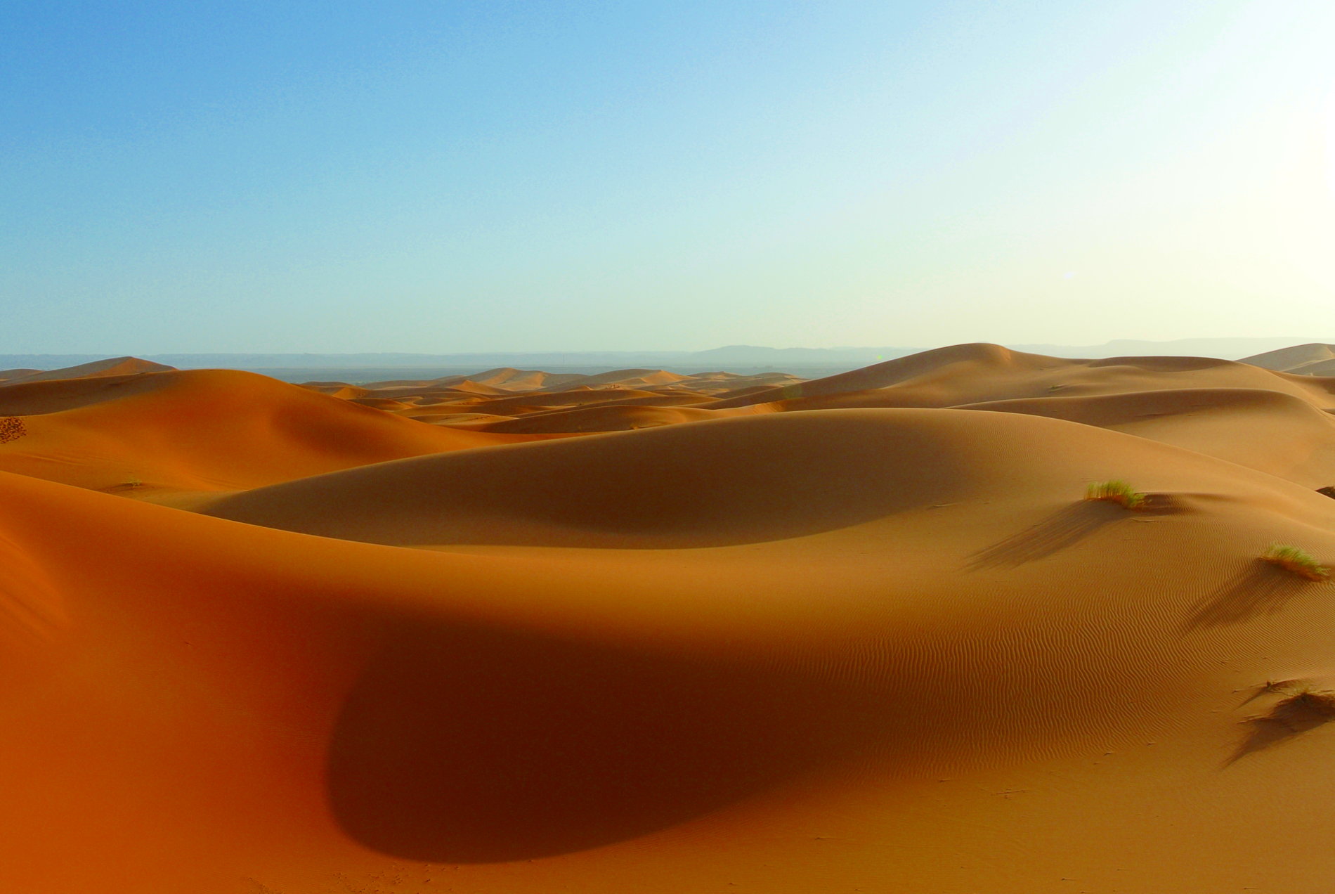 Wüstentour in der Sahara