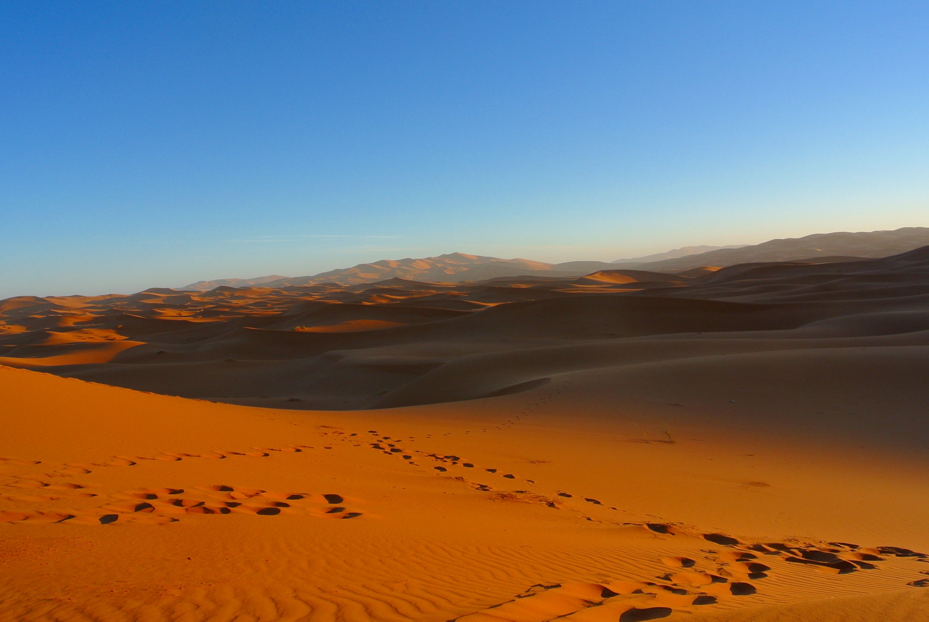 Wüstentour in der Sahara