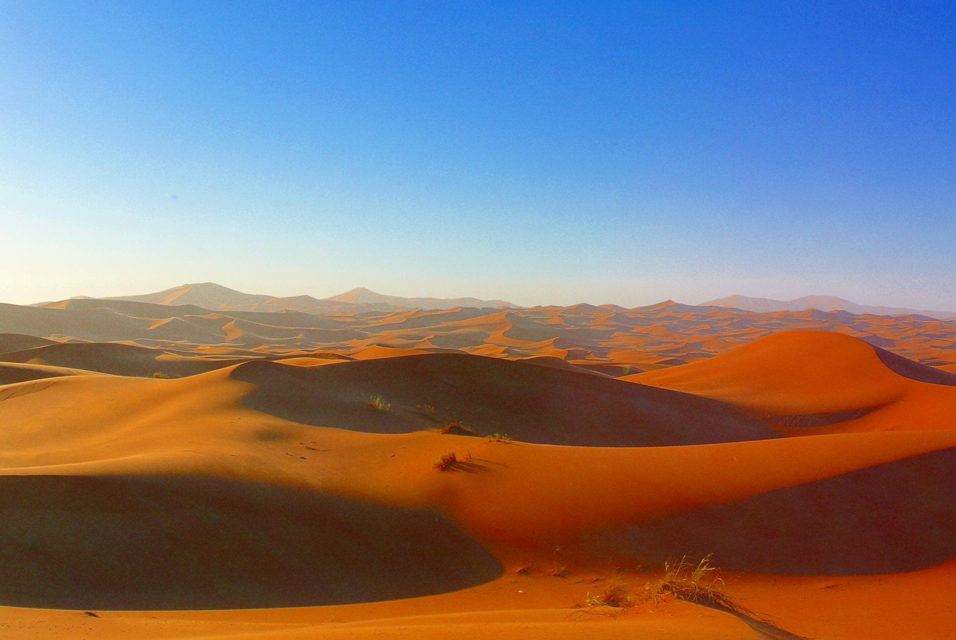 Wüstentour in der Sahara