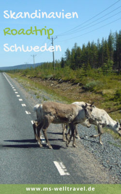 MSWellTravel_Skandinavien_Roadtrip_Elche