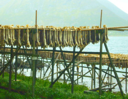 MS WellTravel Norwegen MS WellTravel Norwegen