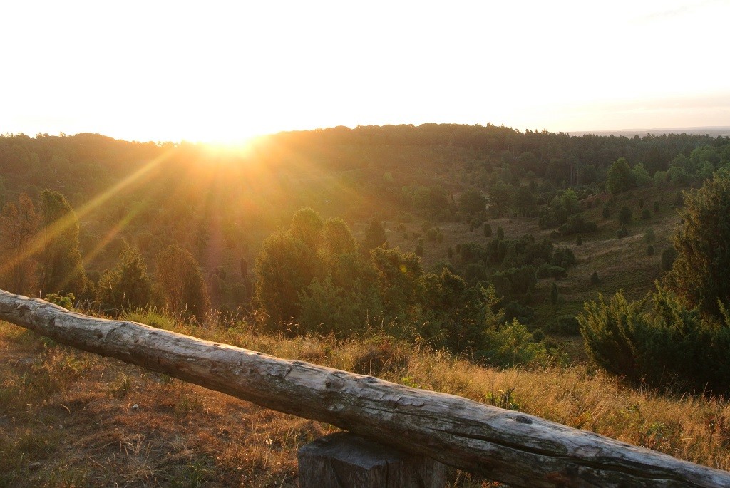 Sonnenaufgang Heide