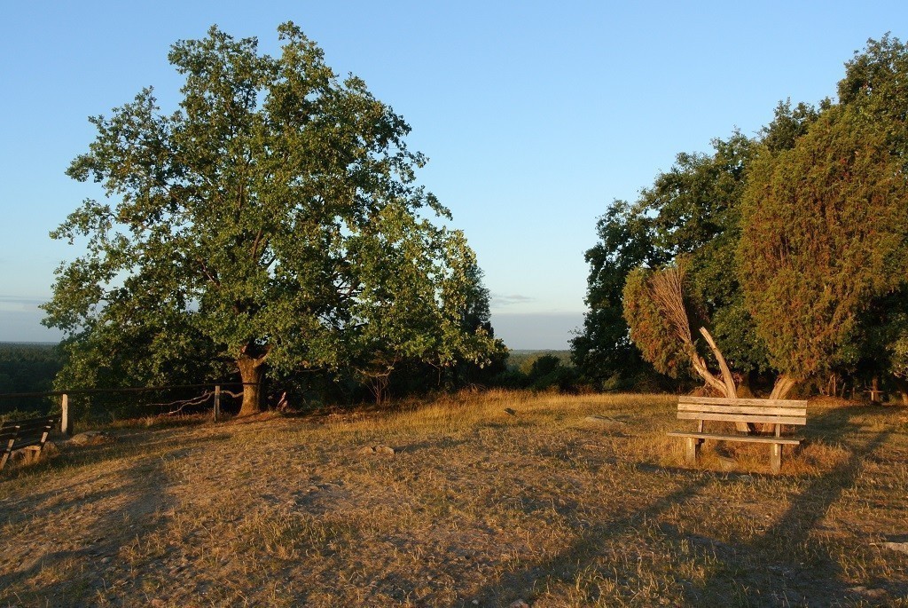 Landschaft in der Lüneburger Heide