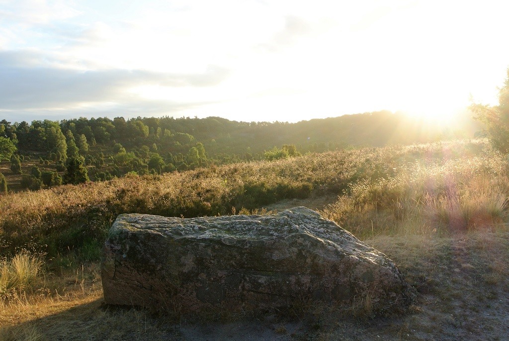 In der Heide am Totengrund