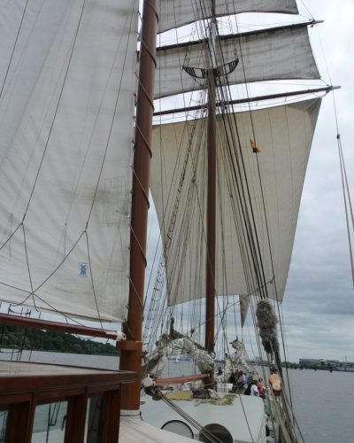 Segeltörn entlang der Elbe - Segel gesetzt