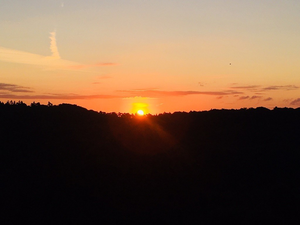 Lüneburger Heide Sonnenaufgang