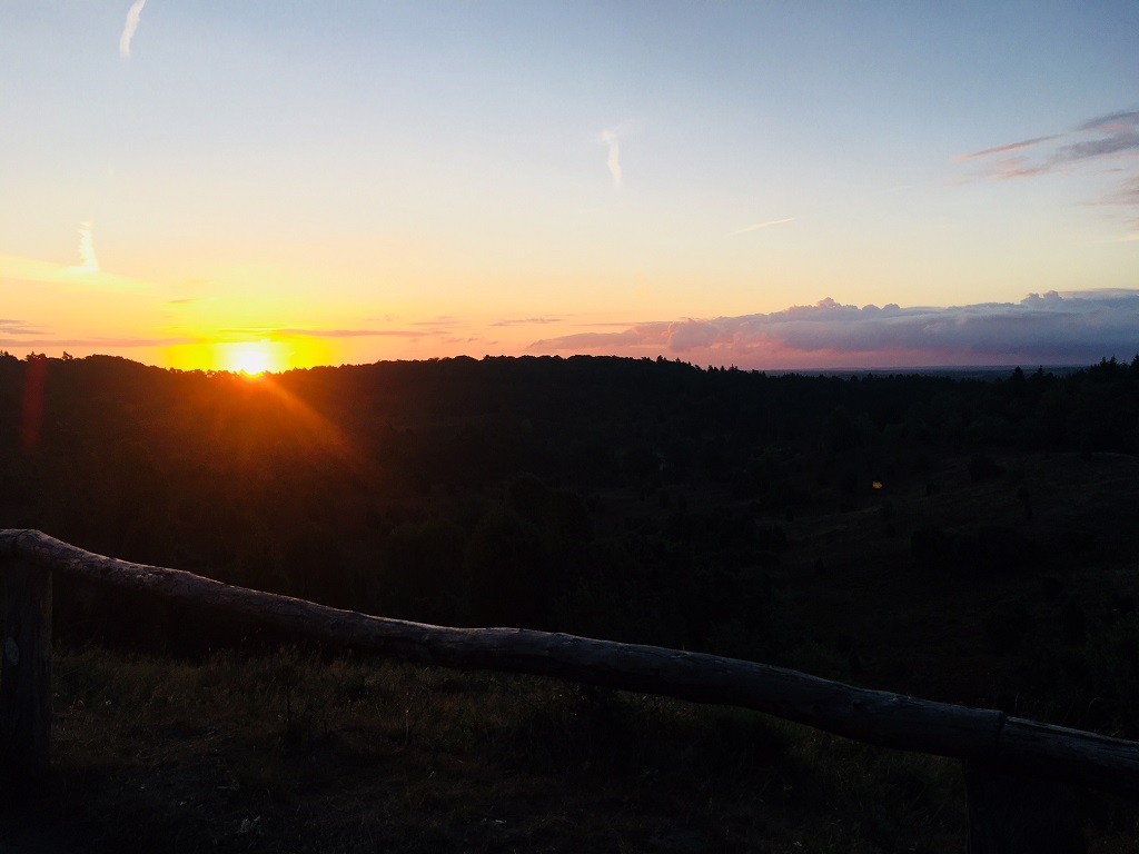 Sonne erwacht in der Heide