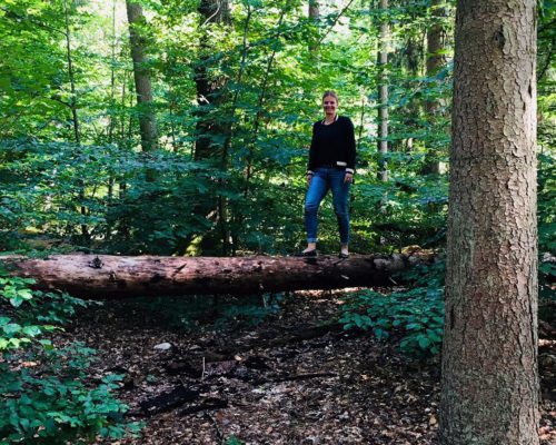 Klettern im Wildpark