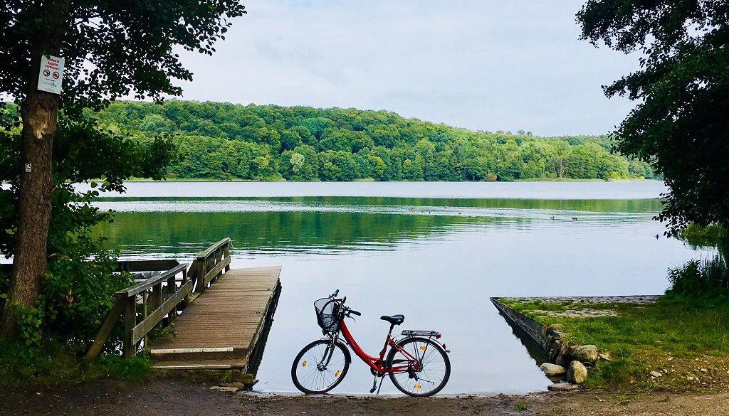 [42+] 3 Rad Wasserfahrrad Zum Verkauf Australien