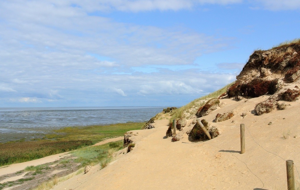 Sanddünen Morsum Kliff