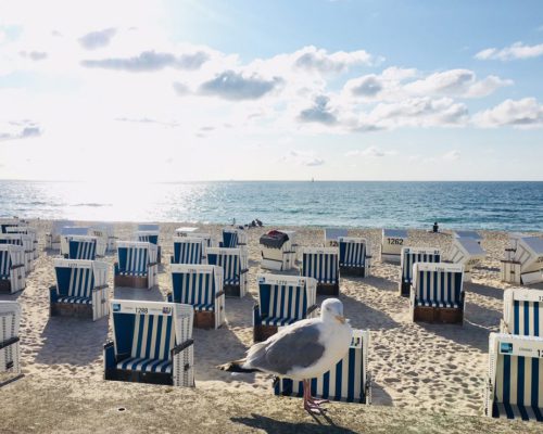 Nordseeblick Nordseeblick