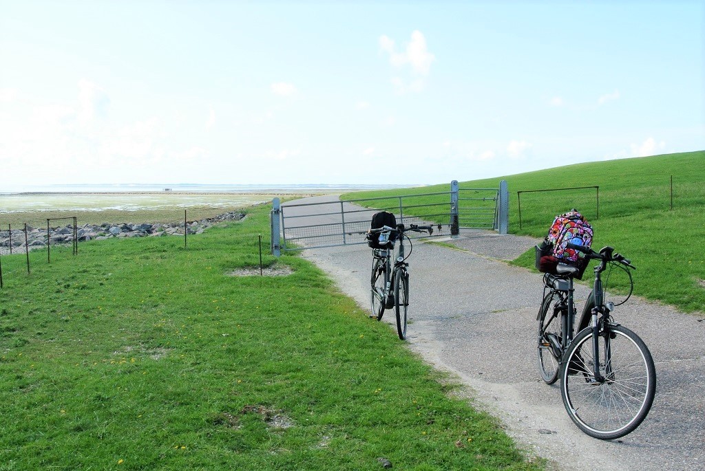 E-Bikes auf Sylt abgestellt am Wegserand