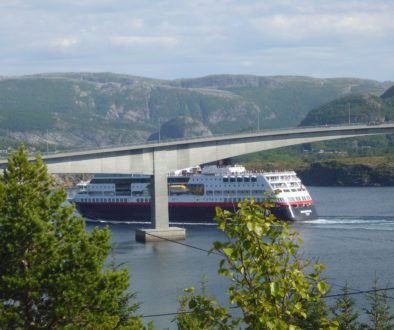 Frachtschiffe auf Fjord