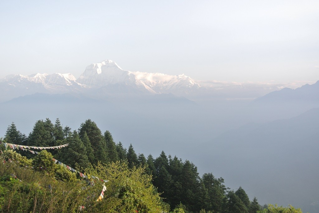 Poon Hill Sonnenlicht