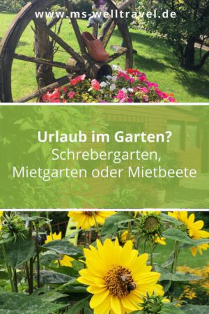 Urlaub Im Garten MS WellTravel (1)