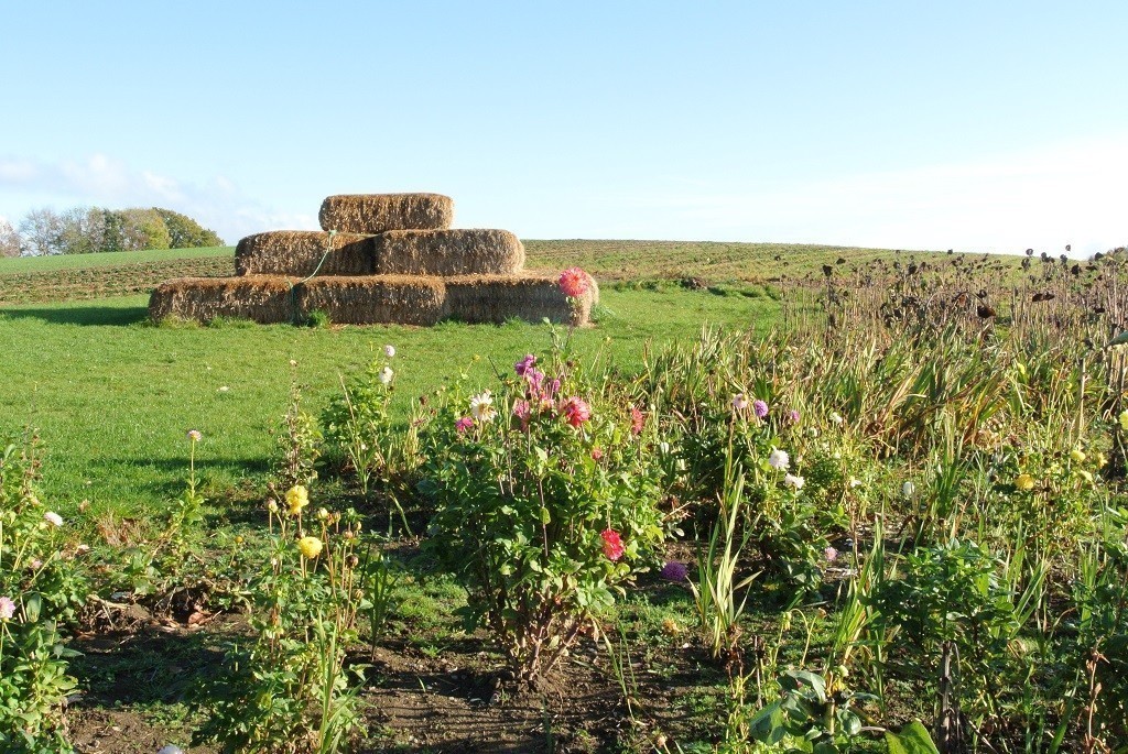 Tipps Malente Weingut Ingenhof