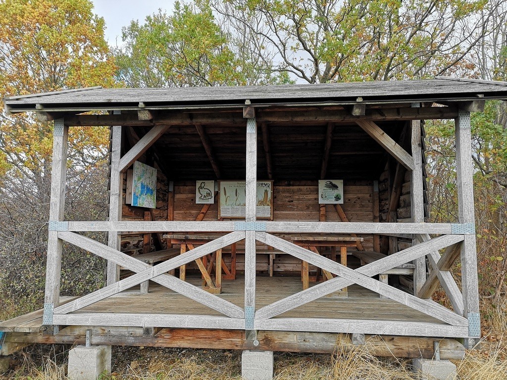 Schutzhütte auf der Wanderung um den Dieksee in Malente