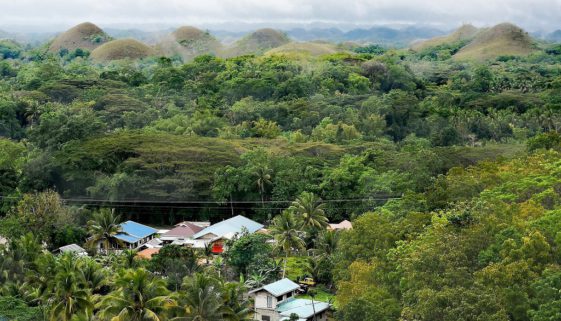 Wald, bekannte Hügel auf Bohol