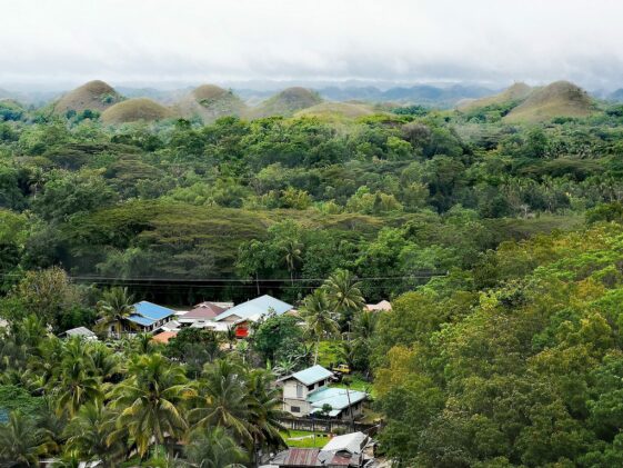 Chocolate Hills in Carmen Wald, bekannte Hügel auf Bohol