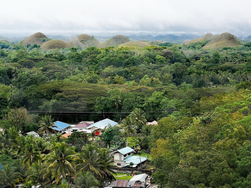 Chocolate Hills in Carmen Wald, bekannte Hügel auf Bohol
