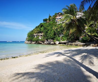 Strand, Meer und Palmen