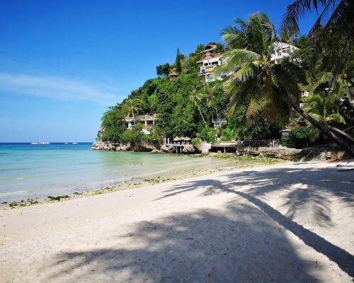 Strand, Meer und Palmen